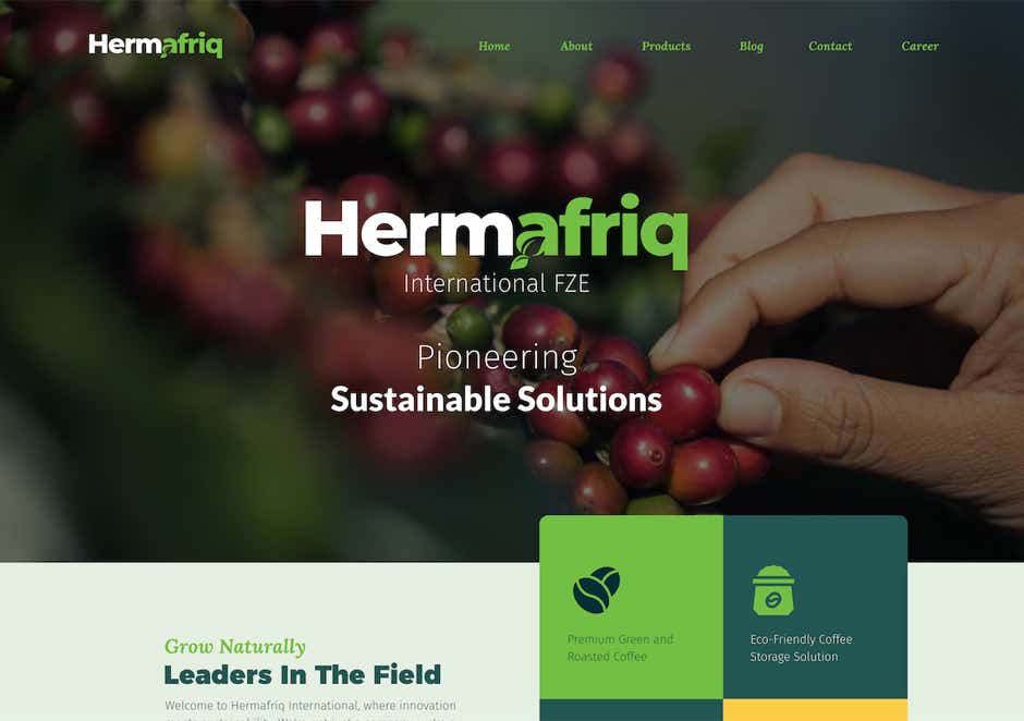A screenshot of a comprehensive digital marketing campaign for Hermafriq FZE, showcasing a beautifully designed website, engaging social media content, and strategic online advertising, all created by WubSites.